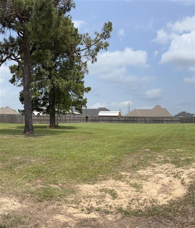 18924 Cade Street — photo 2