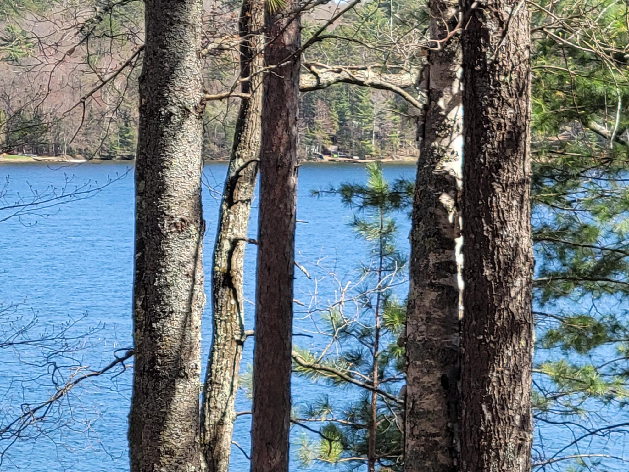 Bass Lake Property 1734 Bass Lake Rd W Photo 32