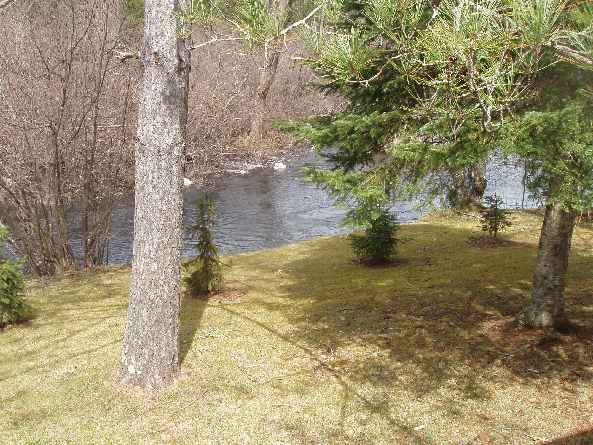 River Property Property W9798 Fleming Rd Photo 10