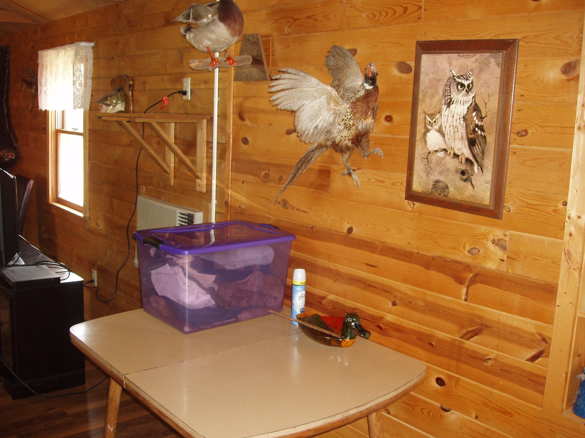 River Property Property W9798 Fleming Rd Photo 21