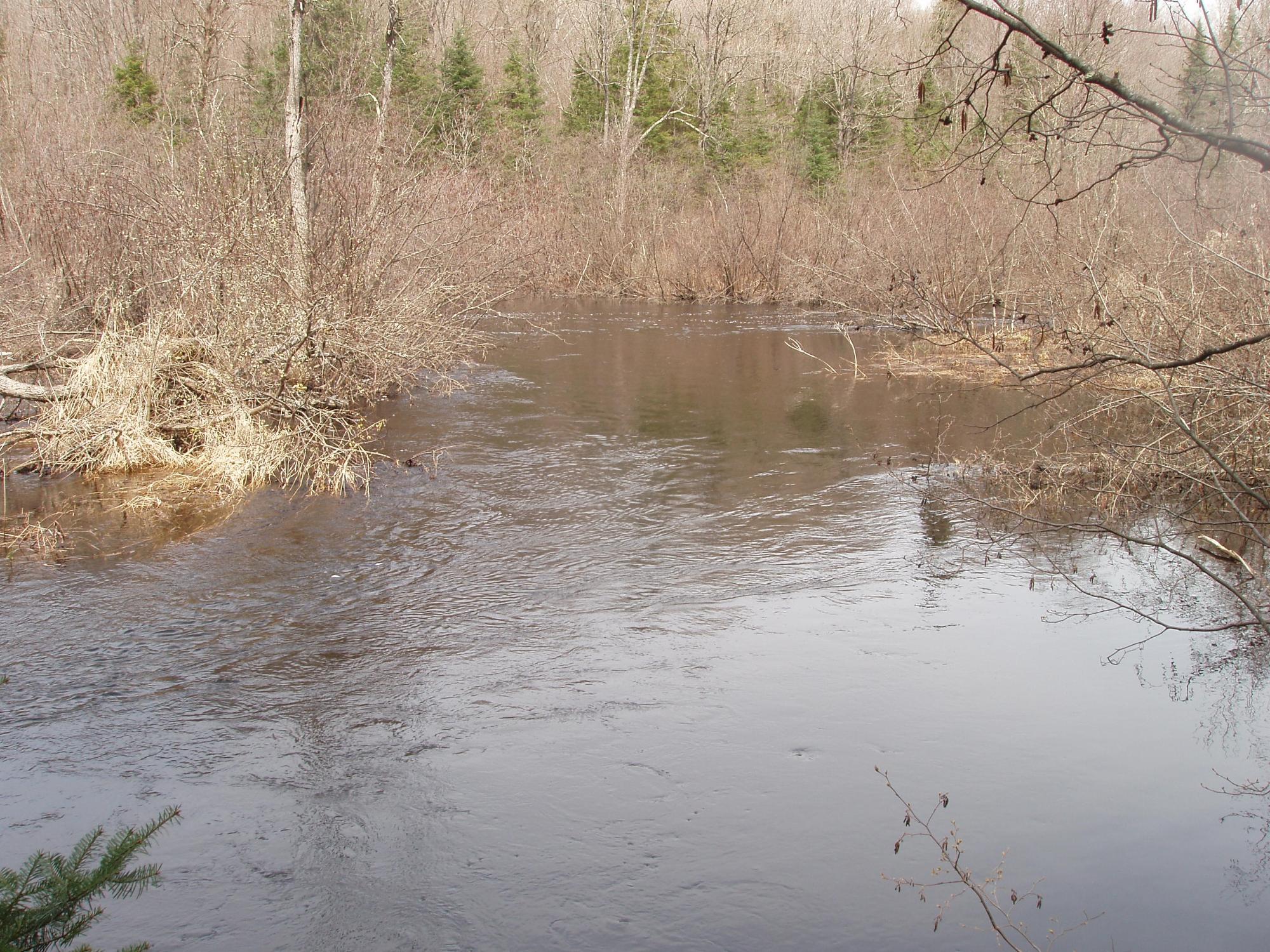 River Property Property W9798 Fleming Rd Photo 37