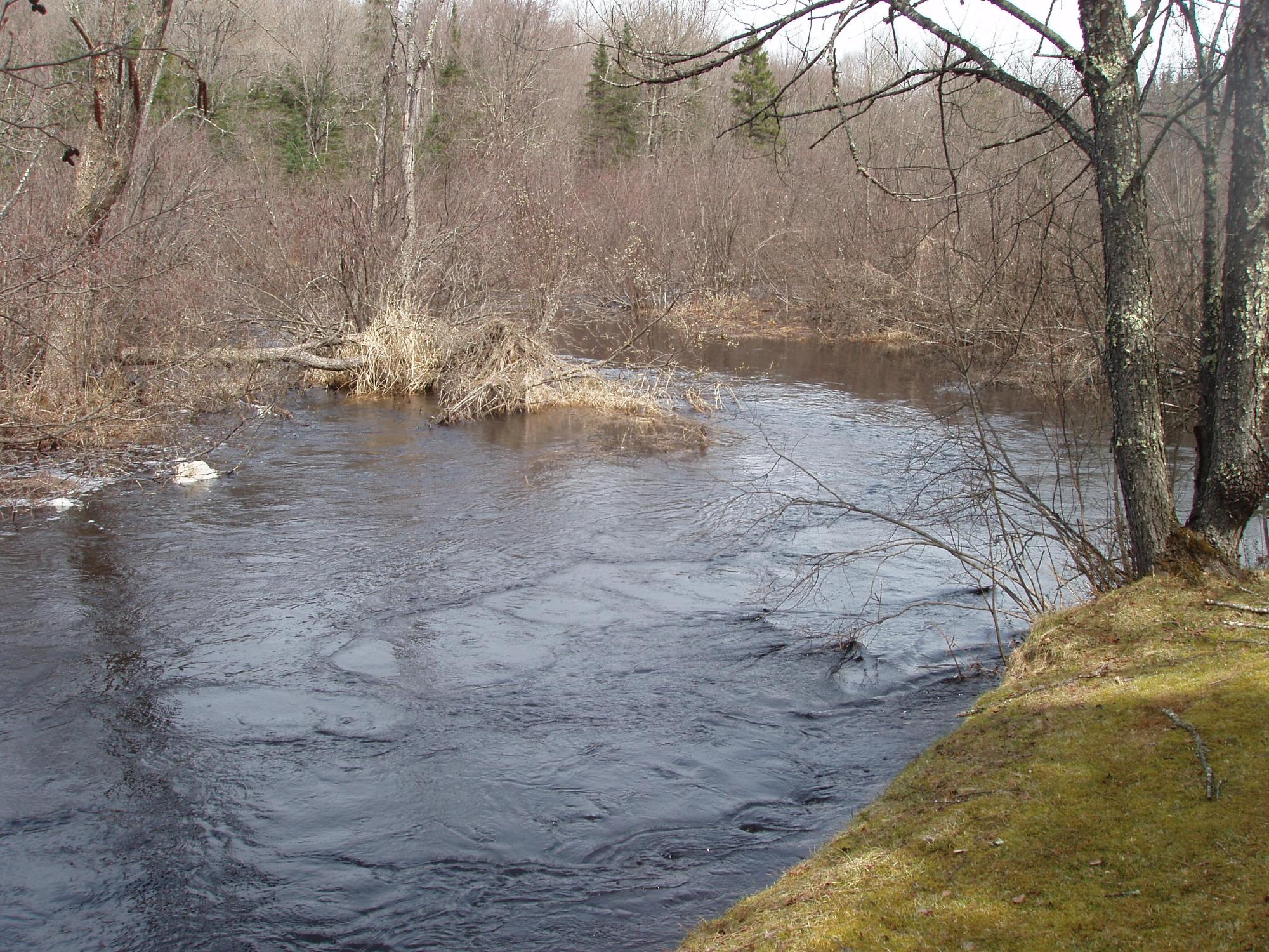 River Property Property W9798 Fleming Rd Photo 38