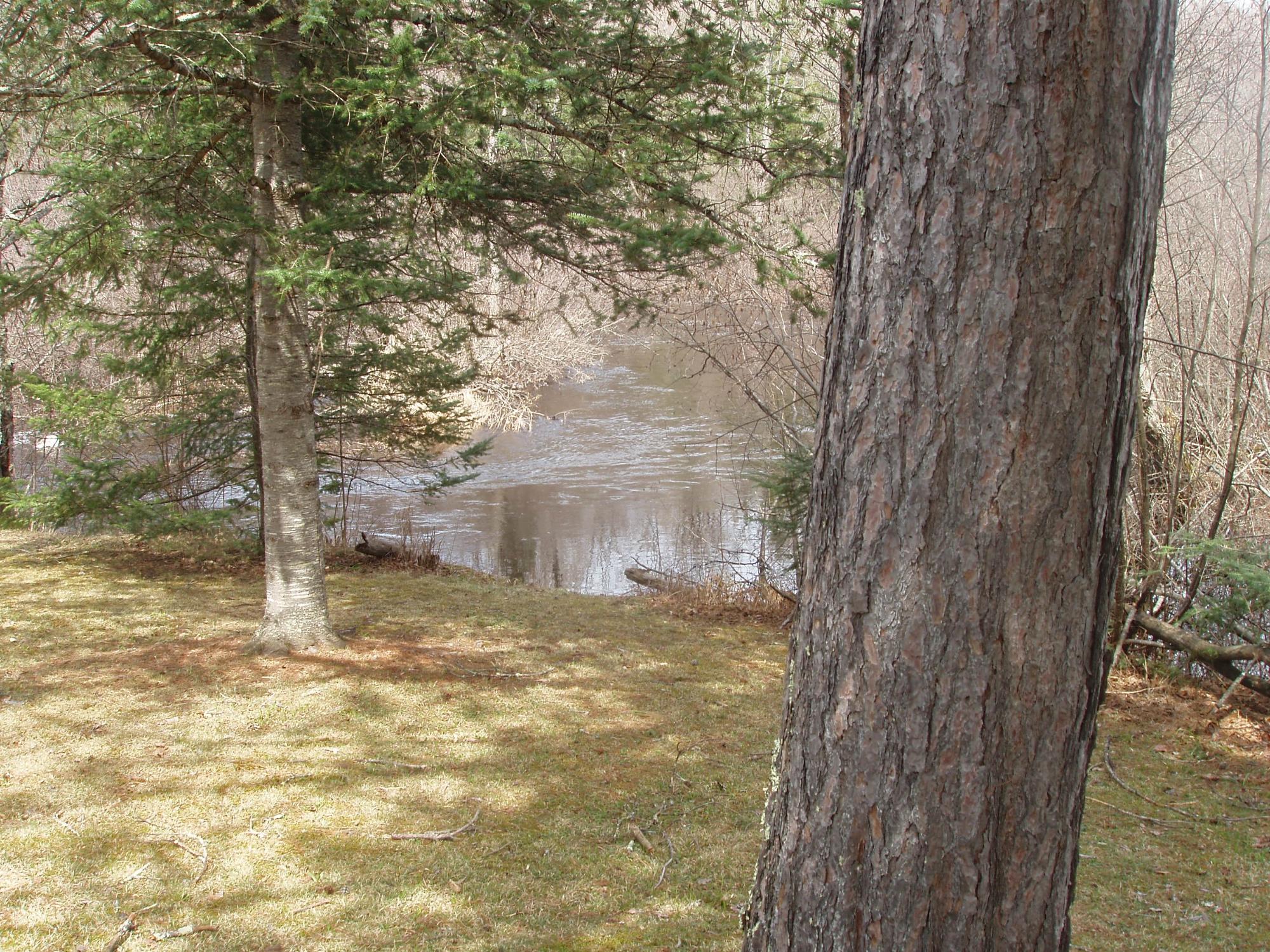 River Property Property W9798 Fleming Rd Photo 7