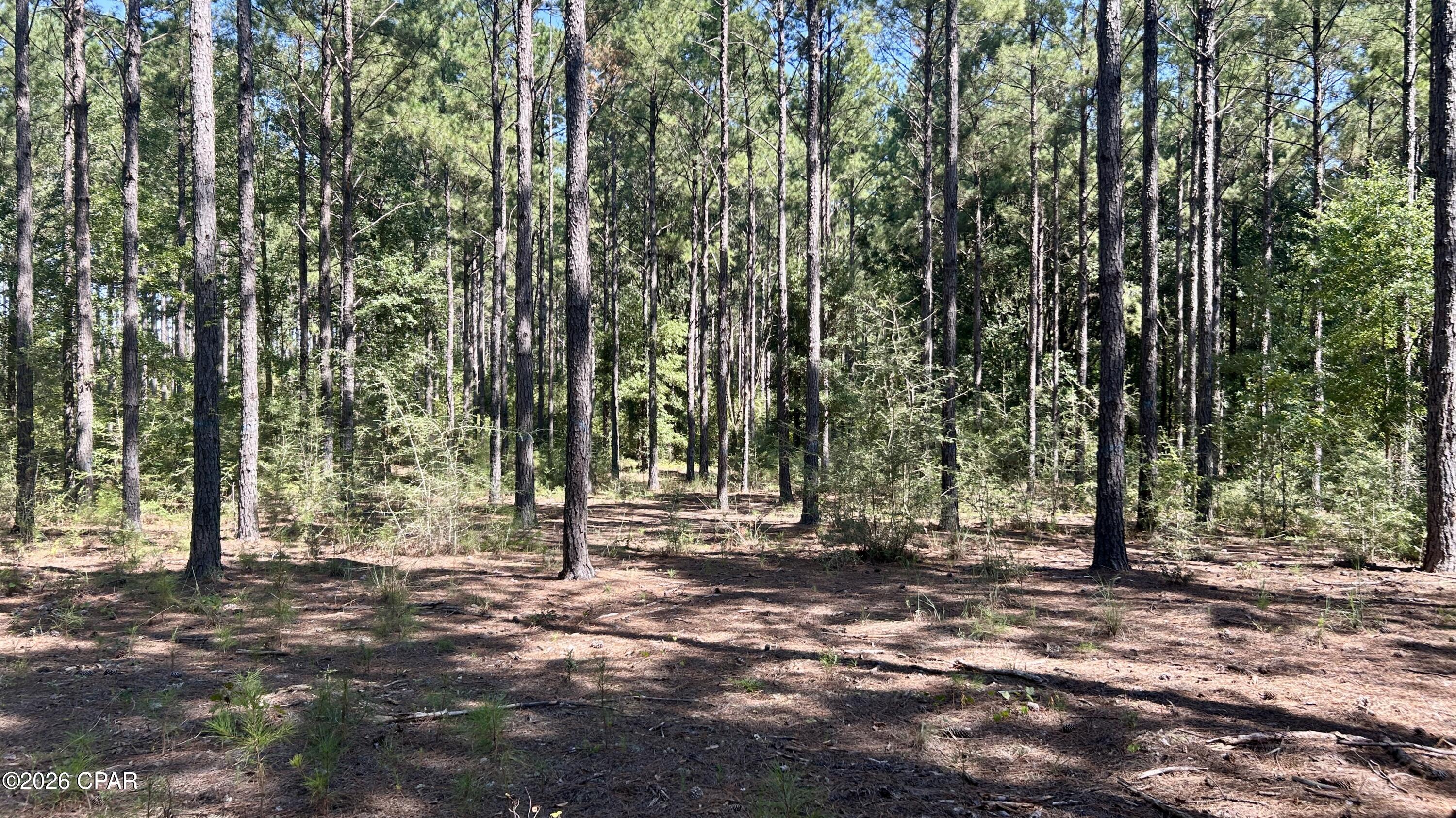 Image 22 For K 147 Highway