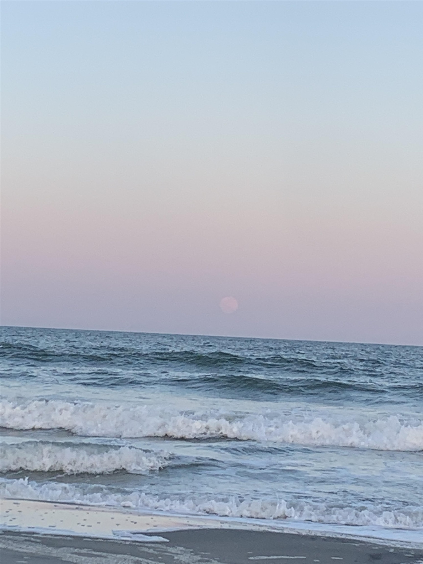 2611003 | Photo 39