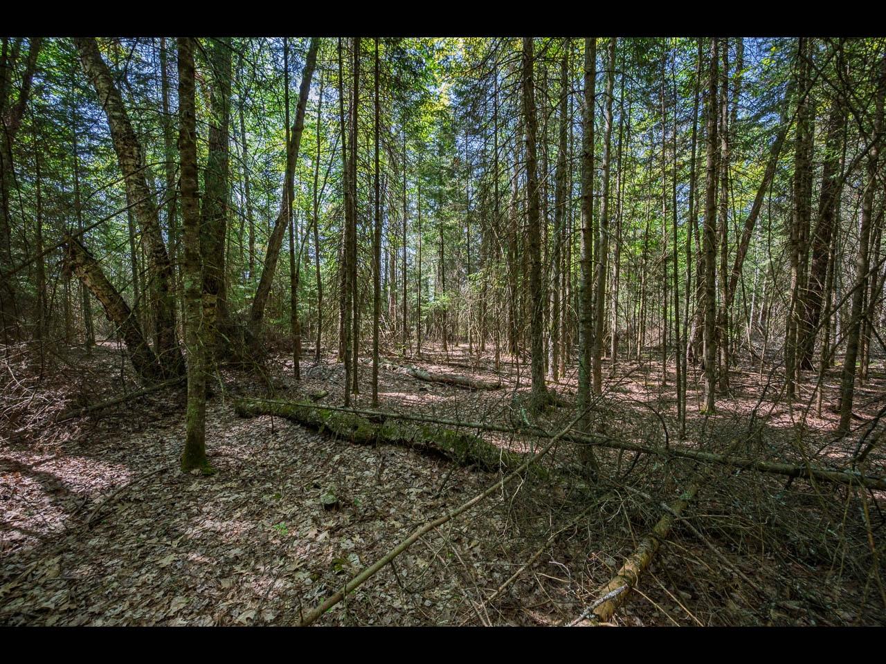 Clearwater Lake lot picture
