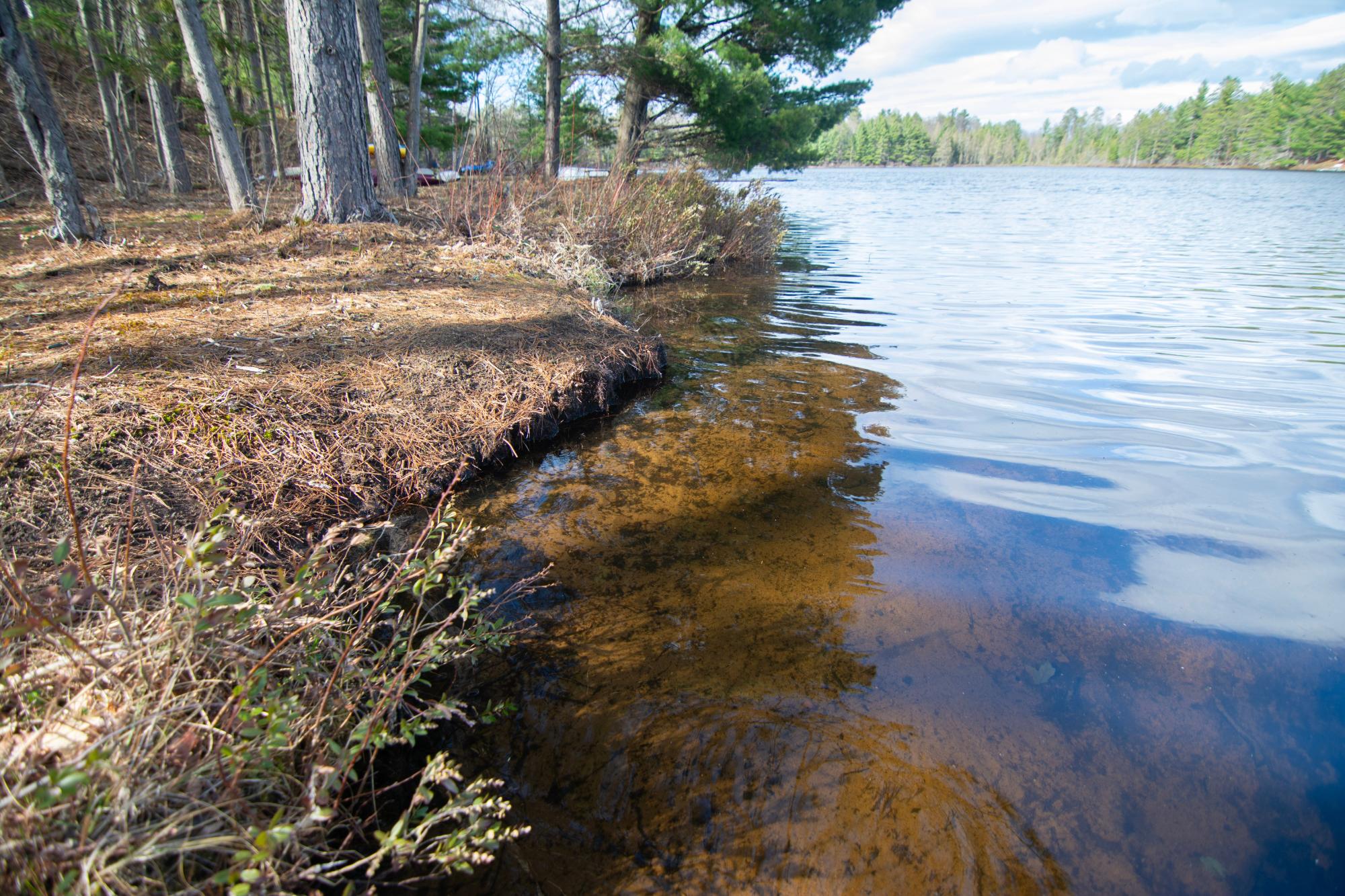 Undocumented Lake Property 3086 Sand Lake Lodge Ln Photo 18