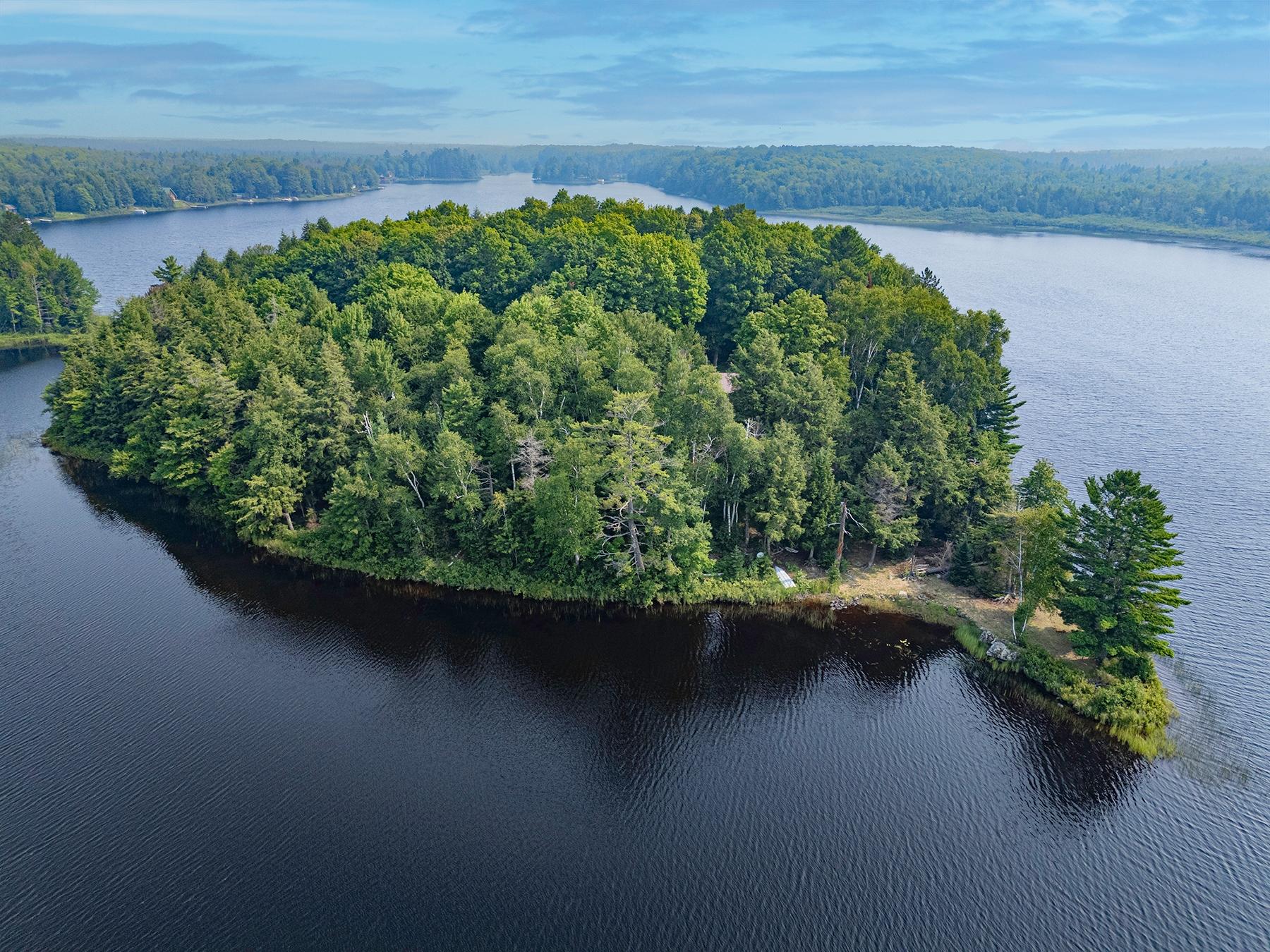 Undocumented Lake Property 8009 Peltonen Rd Photo 39