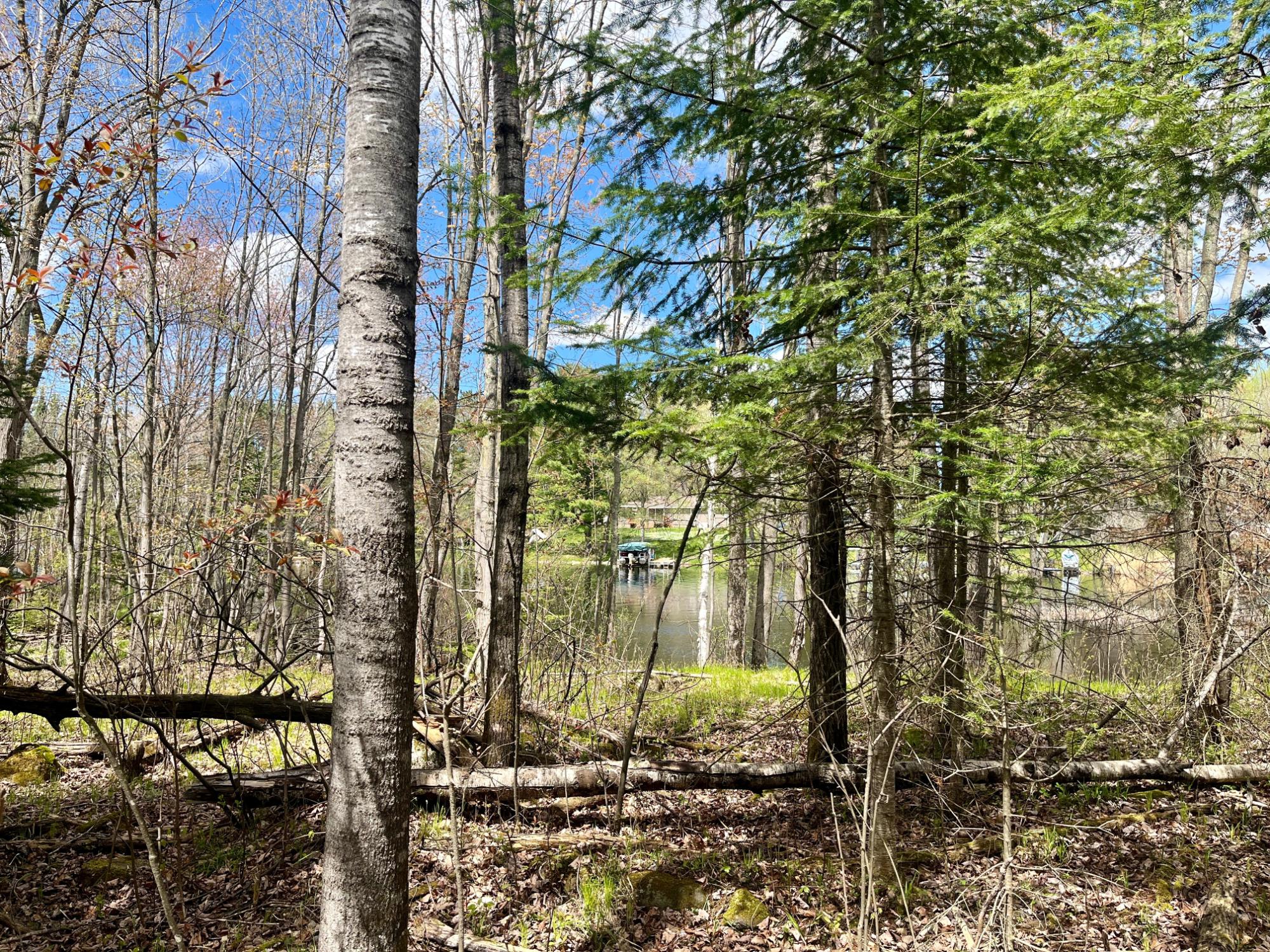 River Property Property ON Soo Lake Rd E Photo 11