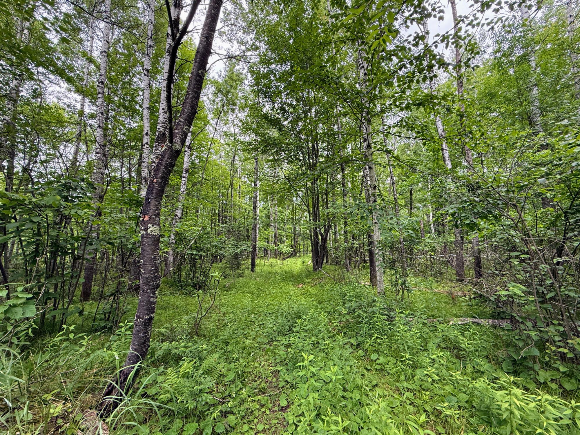 River Property Property ON Soo Lake Rd E Photo 13