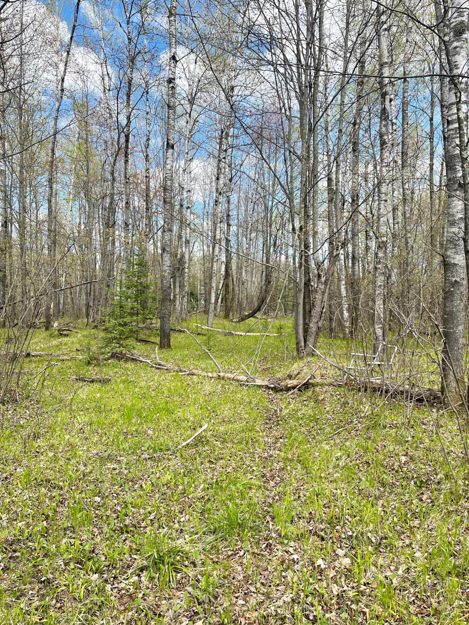 River Property Property ON Soo Lake Rd E Photo 8
