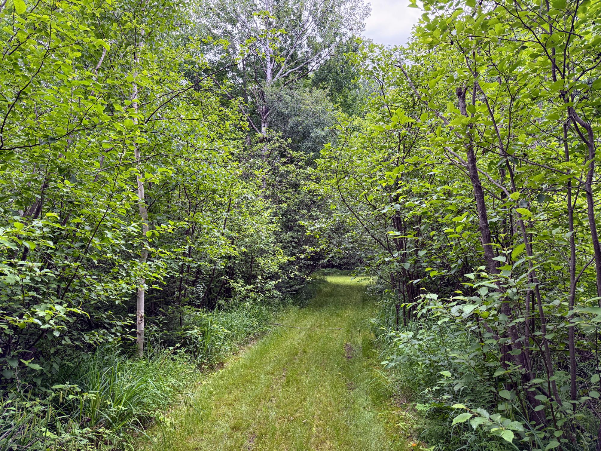 River Property Property ON Soo Lake Rd E Photo 9