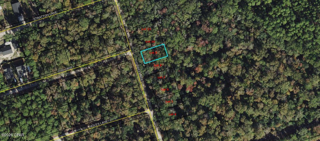 Lot 9 Fig Tree Lane, Crawfordville, FL 32327