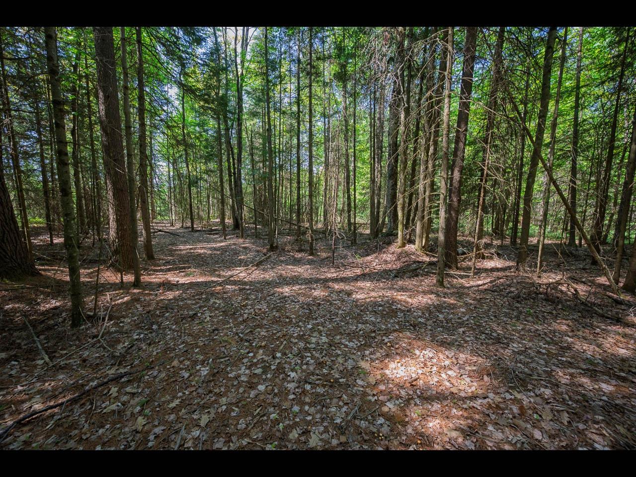 Clearwater Lake Property Lots 1-4 Memory Ln Photo 2