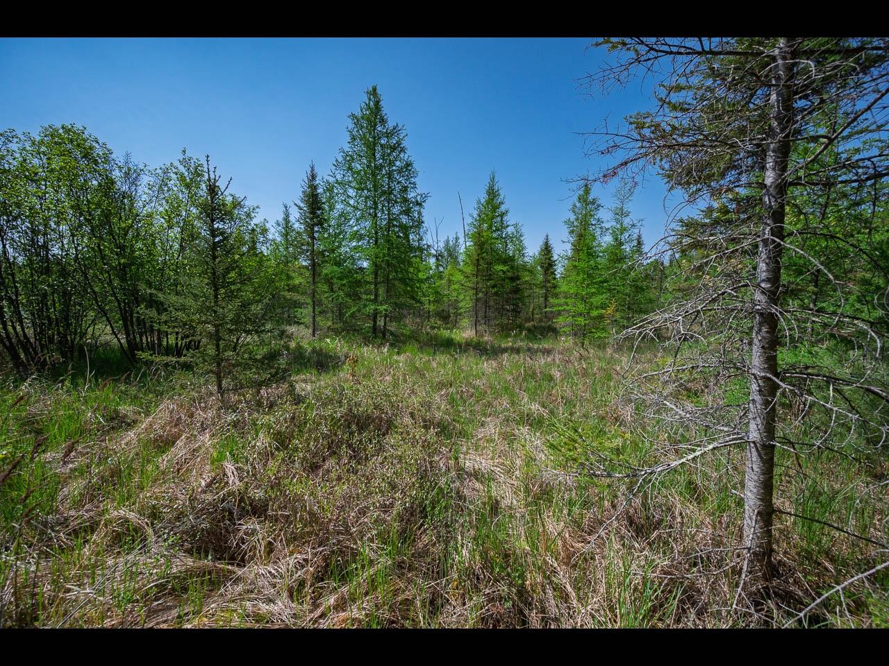 Clearwater Lake Property Lots 1-4 Memory Ln Photo 6