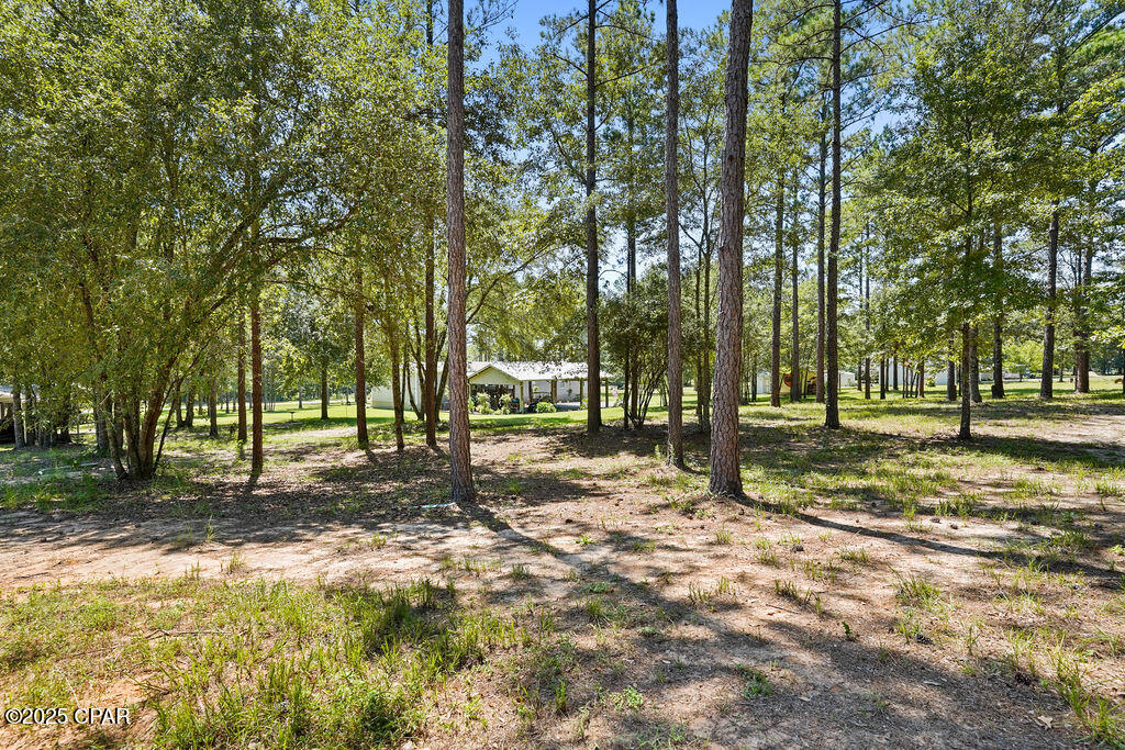 Image 46 For 7910 Sneads Landing Road