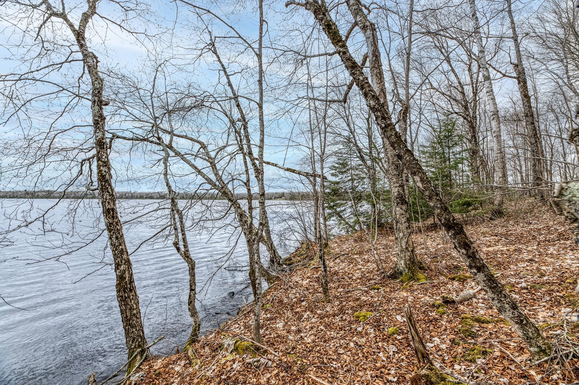 North Turtle Lake Property Off Johnson Ln Photo 15