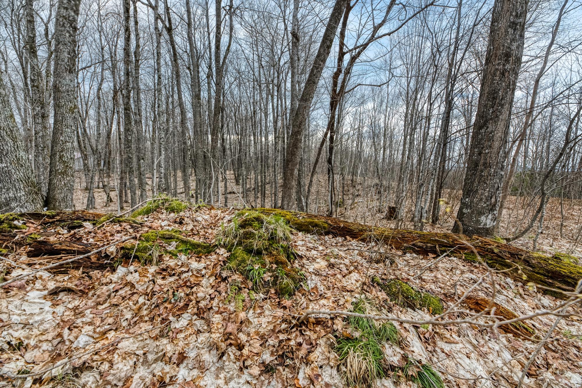 North Turtle Lake Property Off Johnson Ln Photo 14