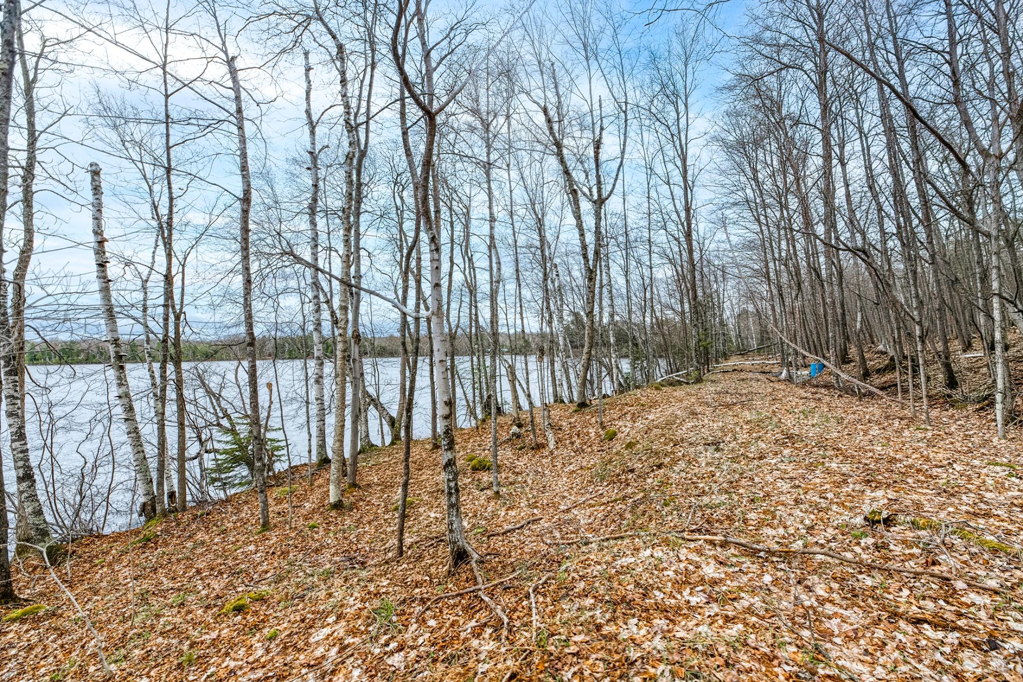 North Turtle Lake Property Off Johnson Ln Photo 5