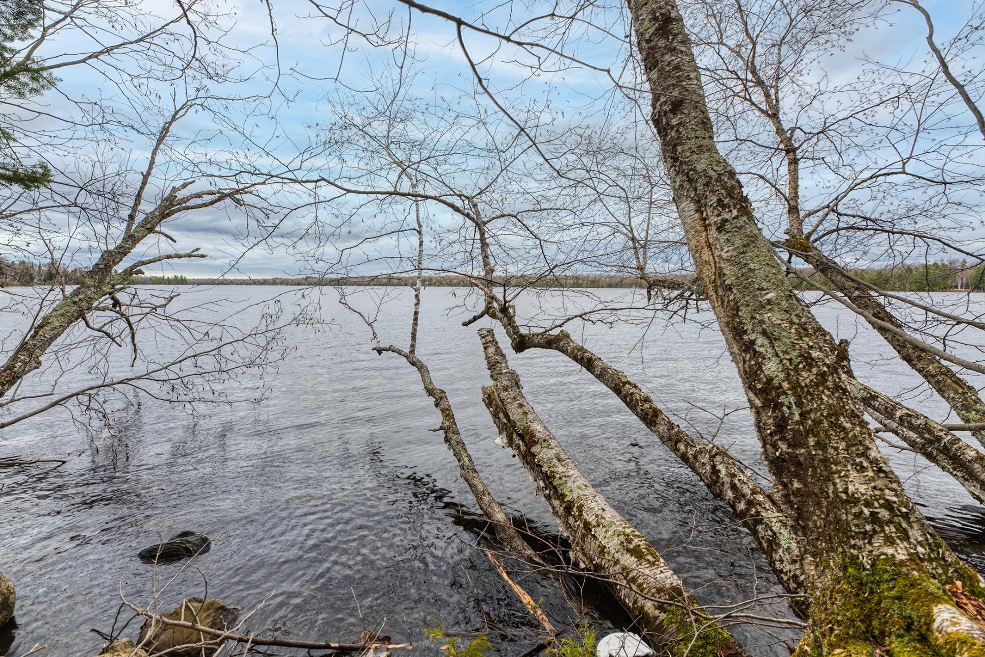 North Turtle Lake Property Off Johnson Ln Photo 16