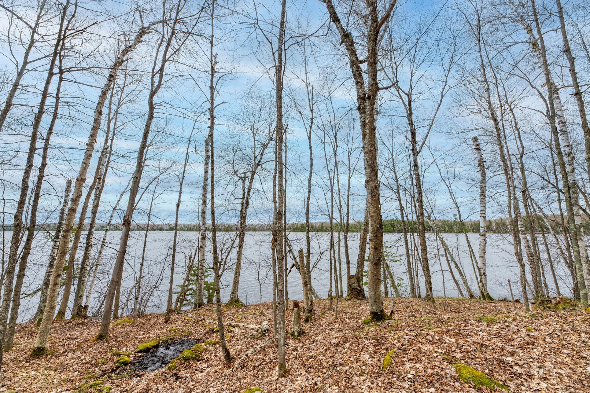 North Turtle Lake Property Off Johnson Ln Photo 19