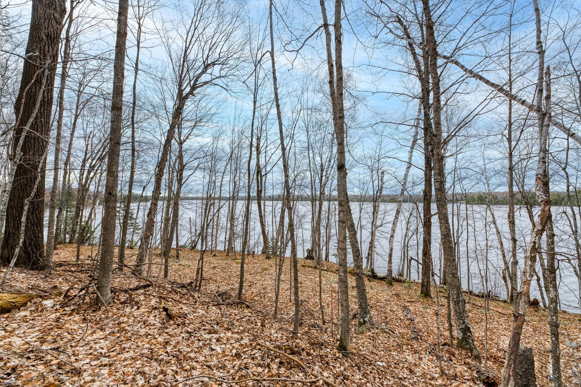 North Turtle Lake Property Off Johnson Ln Photo 21