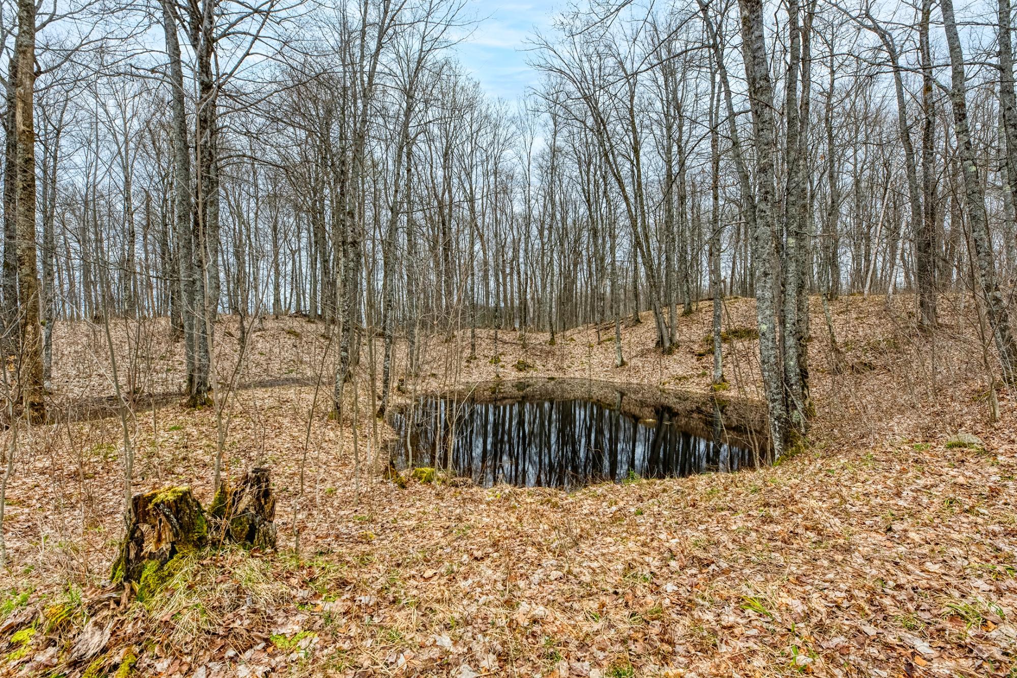 North Turtle Lake Property Off Johnson Ln Photo 31