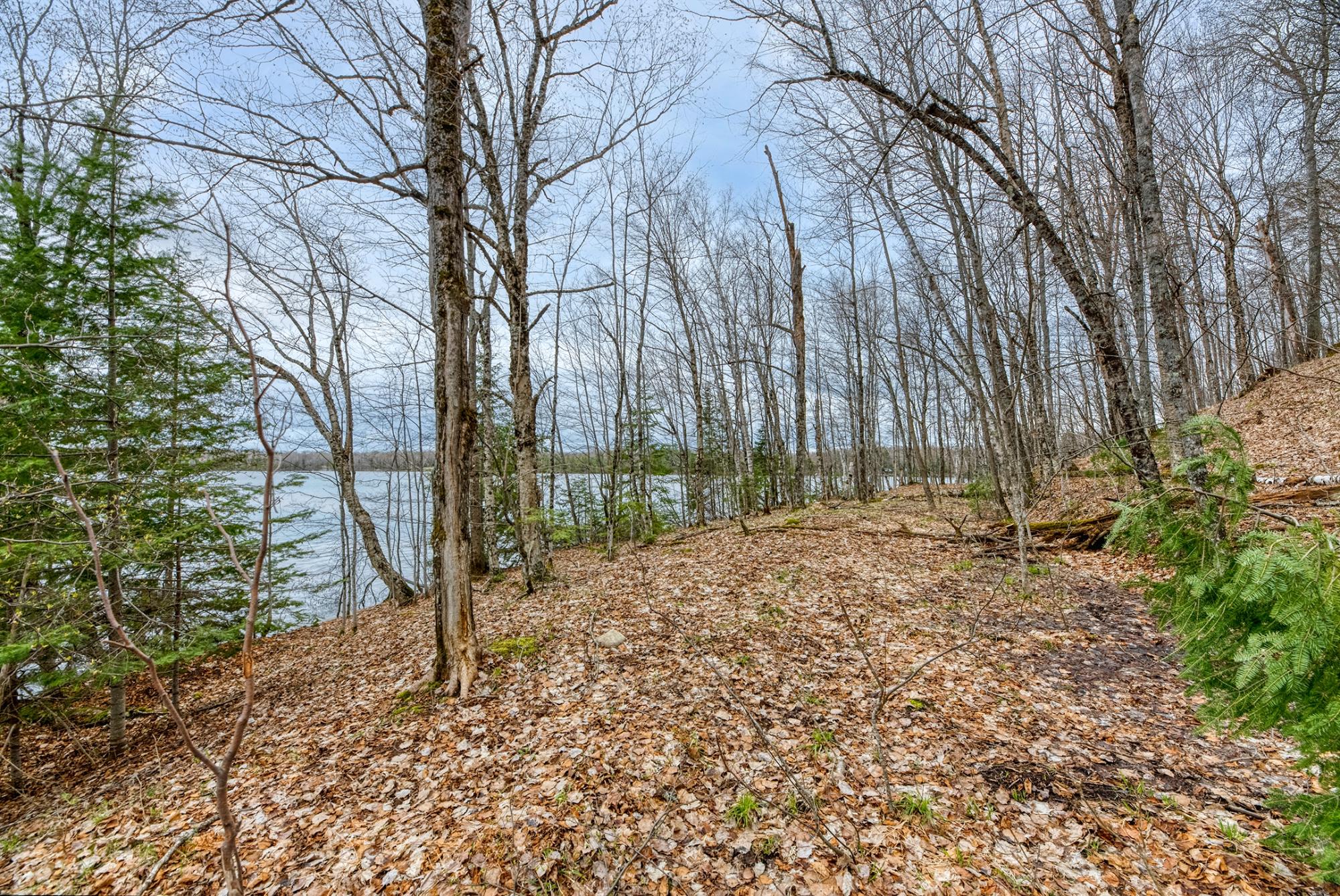 North Turtle Lake Property Off Johnson Ln Photo 41