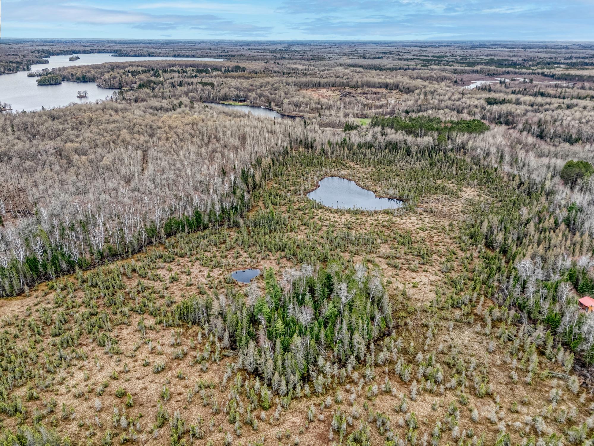 North Turtle Lake Property Off Johnson Ln Photo 52