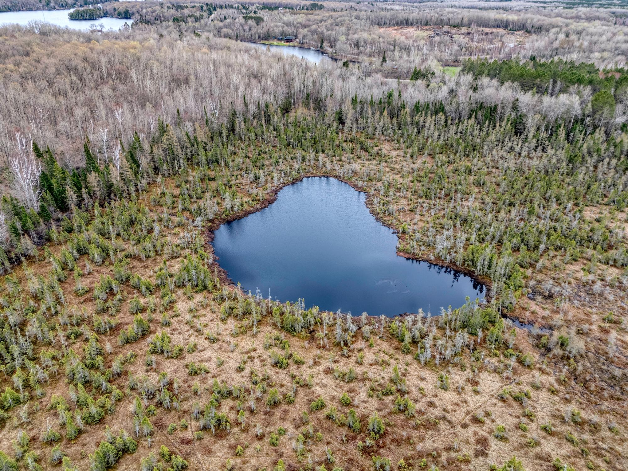 North Turtle Lake Property Off Johnson Ln Photo 53