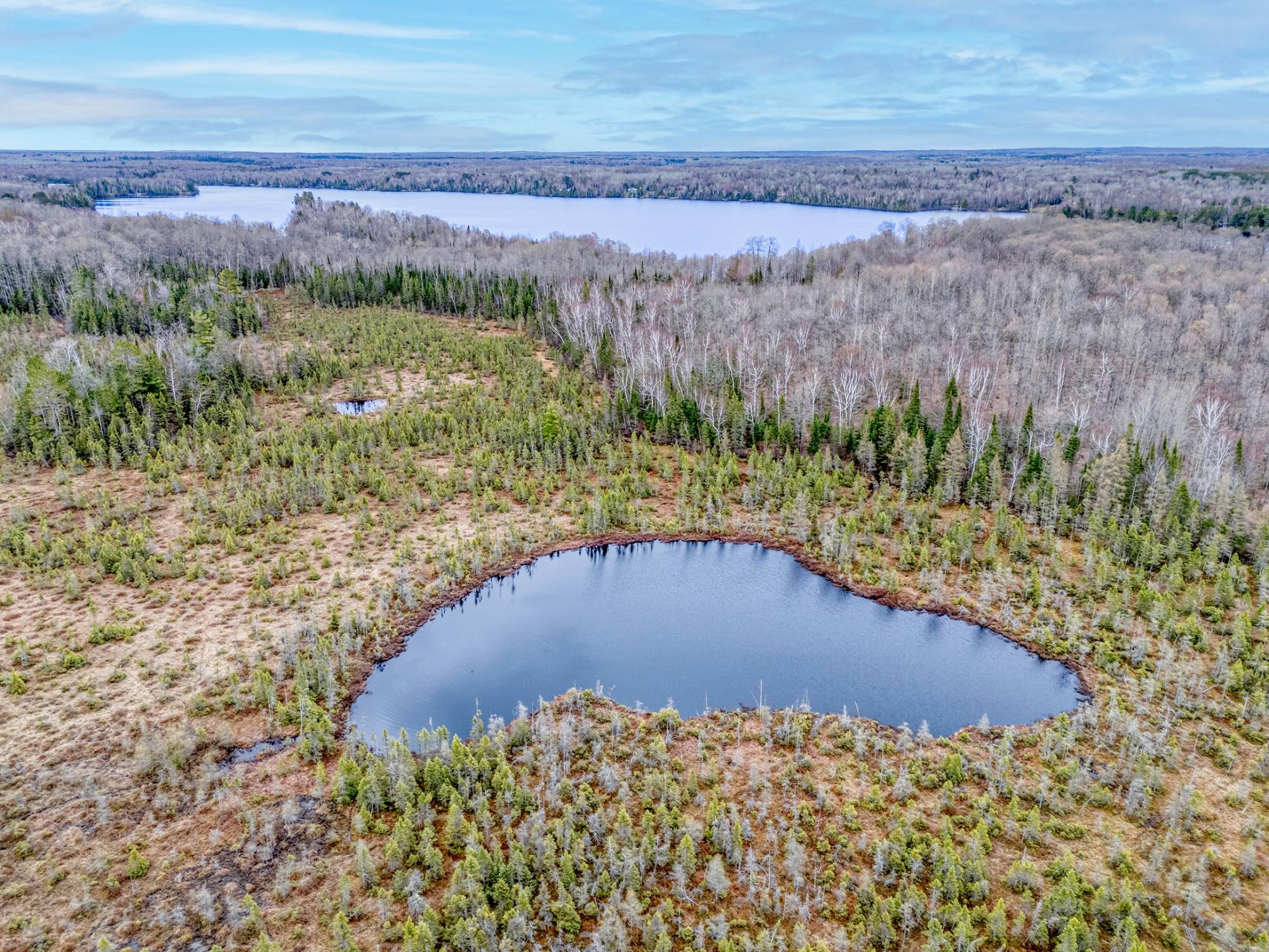 North Turtle Lake Property Off Johnson Ln Photo 54