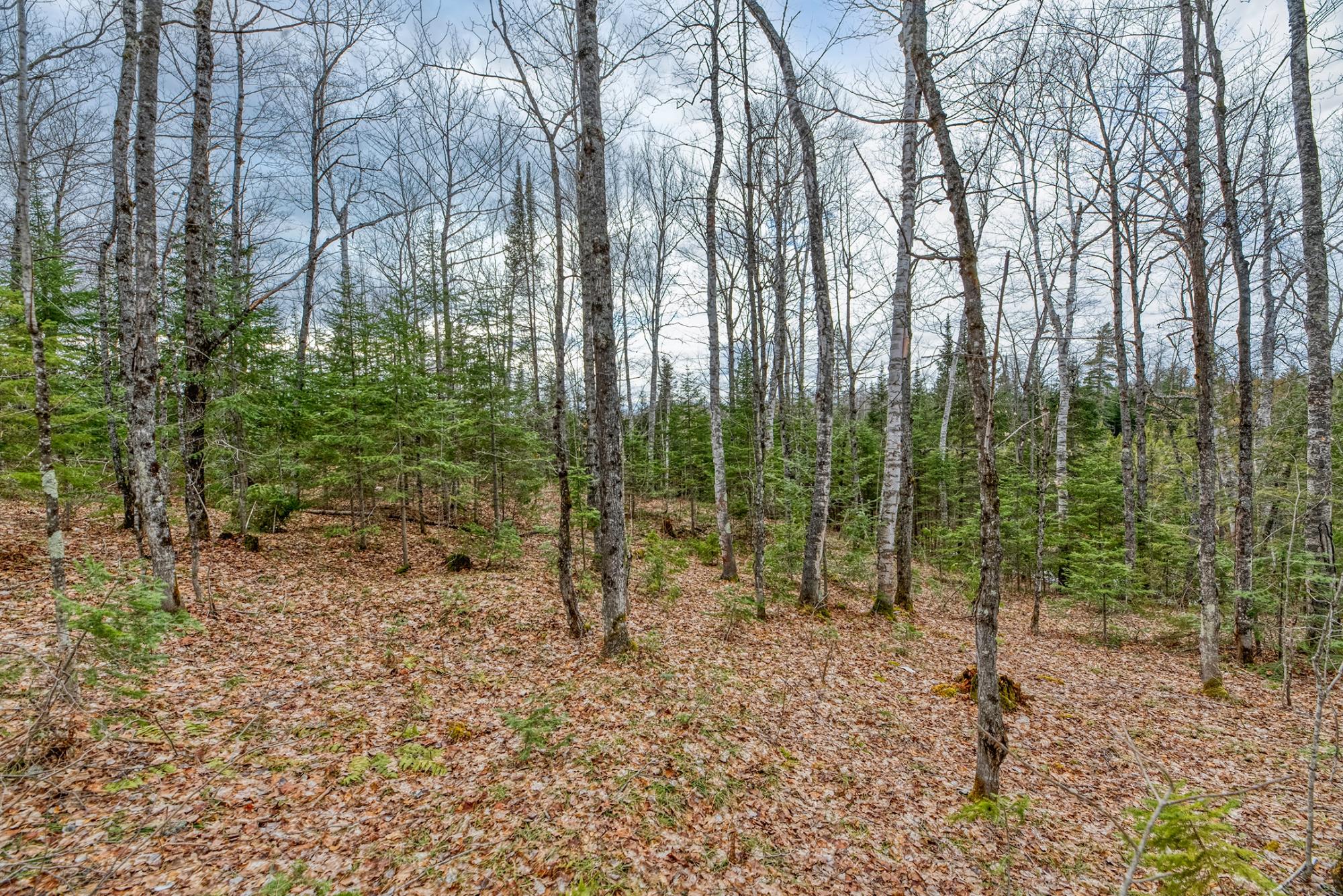 North Turtle Lake Property Off Johnson Ln Photo 7