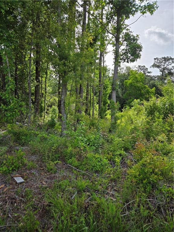 Homes for sale in Covington, LA | Daisey St, Covington, LA 70435 | MLS# 2556053