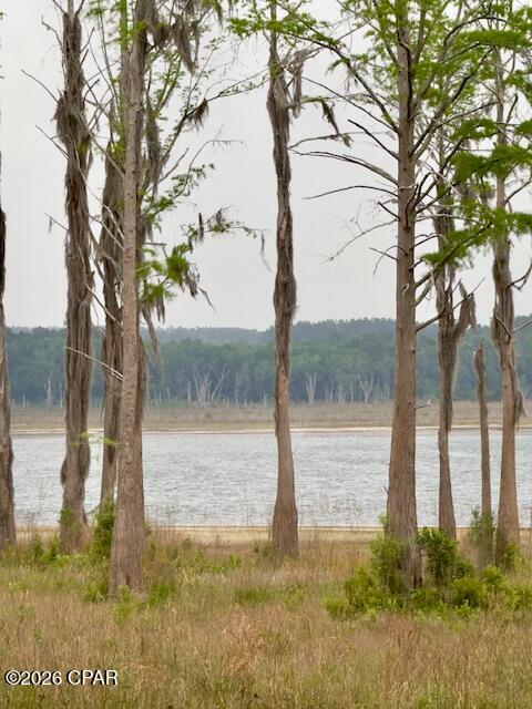 Details for Tbd Lakeshore Drive, Chipley, FL 32428