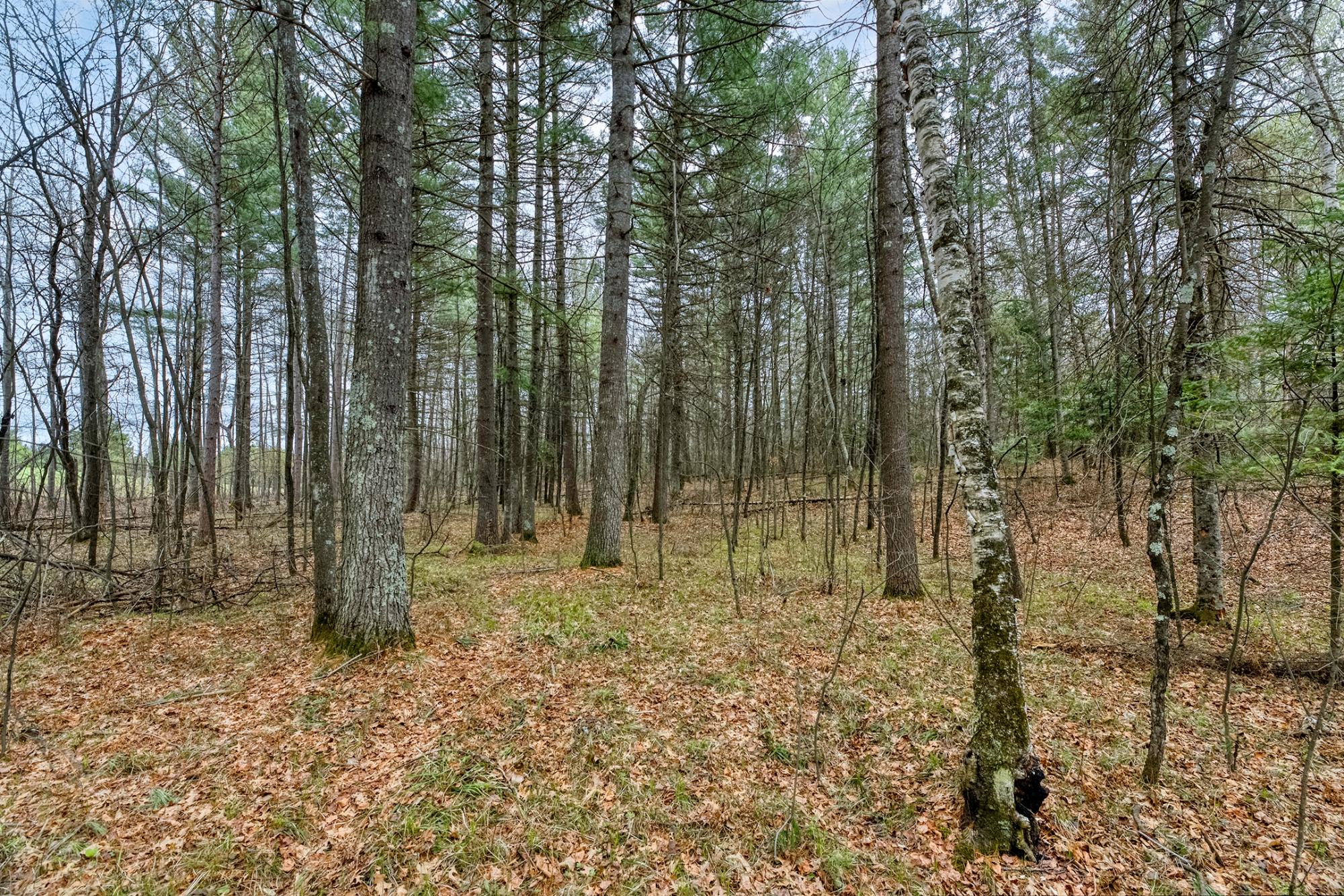 Lake Nokomis Property Lot #1 Spillman Ln Photo 16