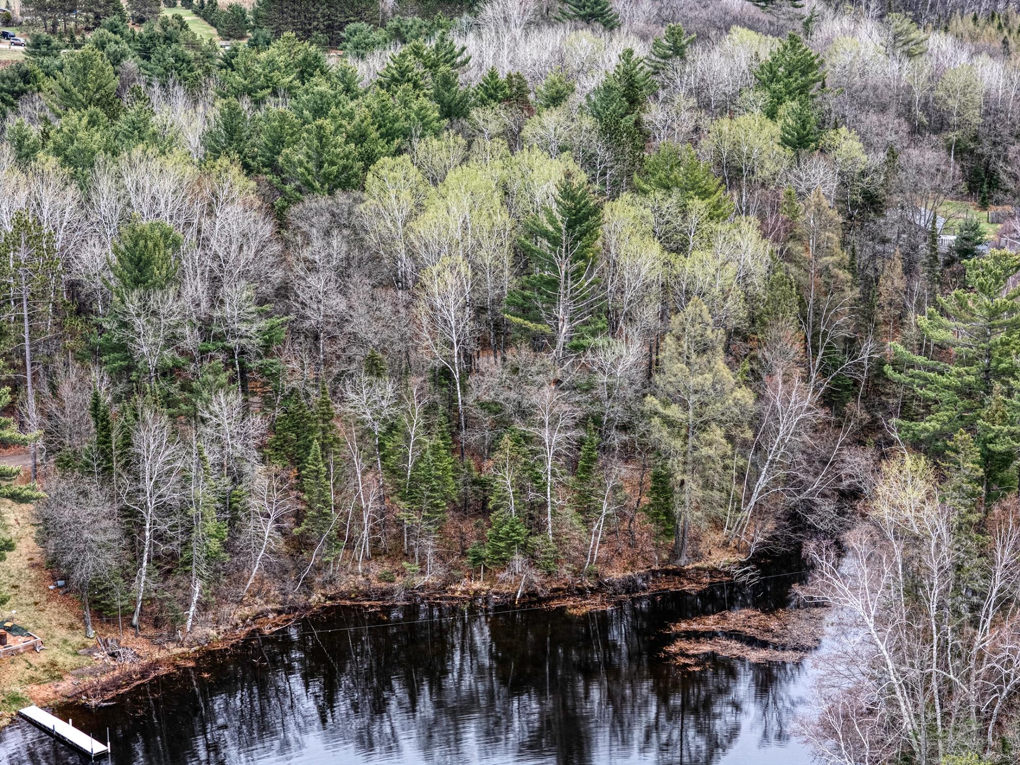 Lake Nokomis Property Lot #1 Spillman Ln Photo 8