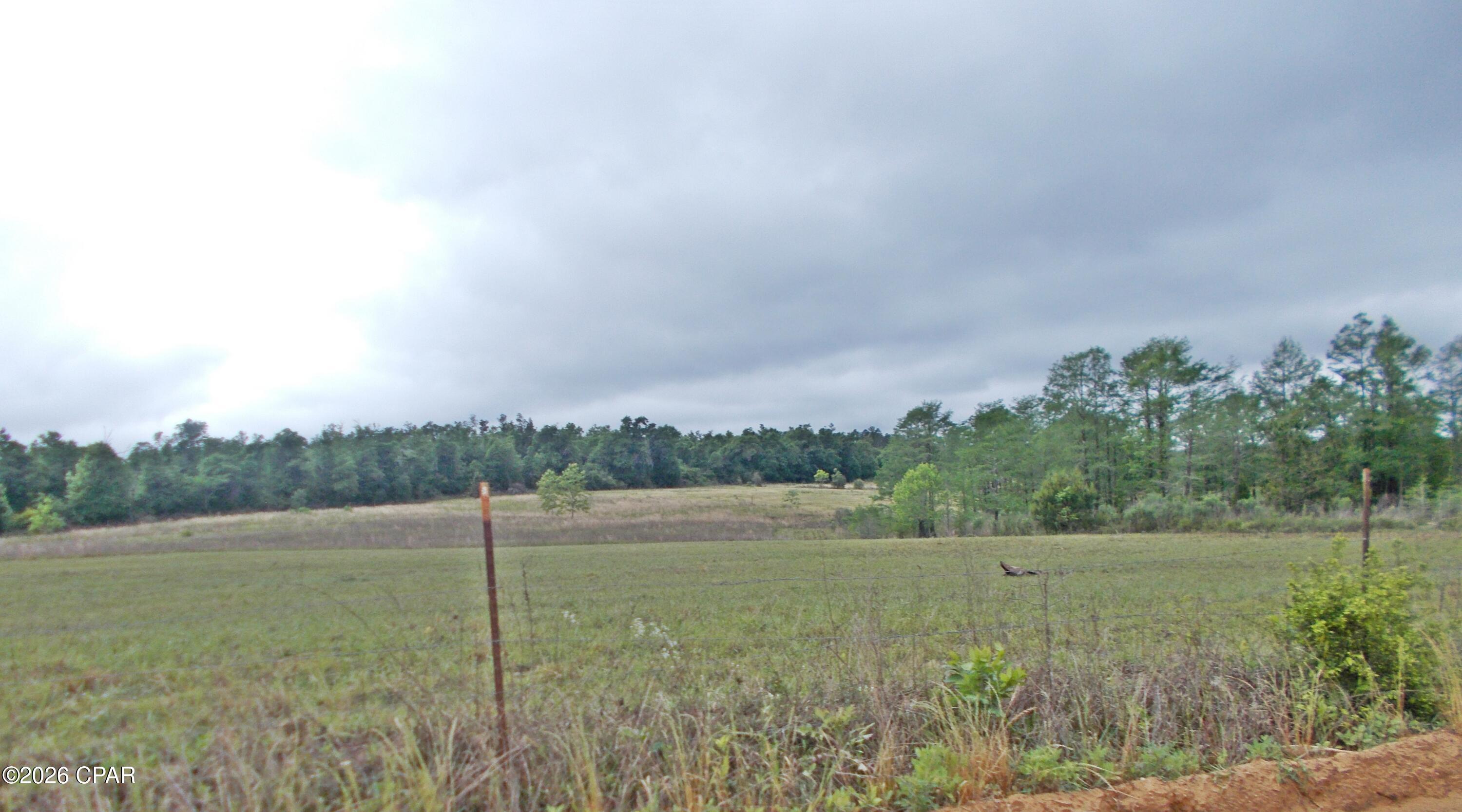2nd image of 00 Express Rd, Grand Ridge, FL 32442 | MLS# 789288