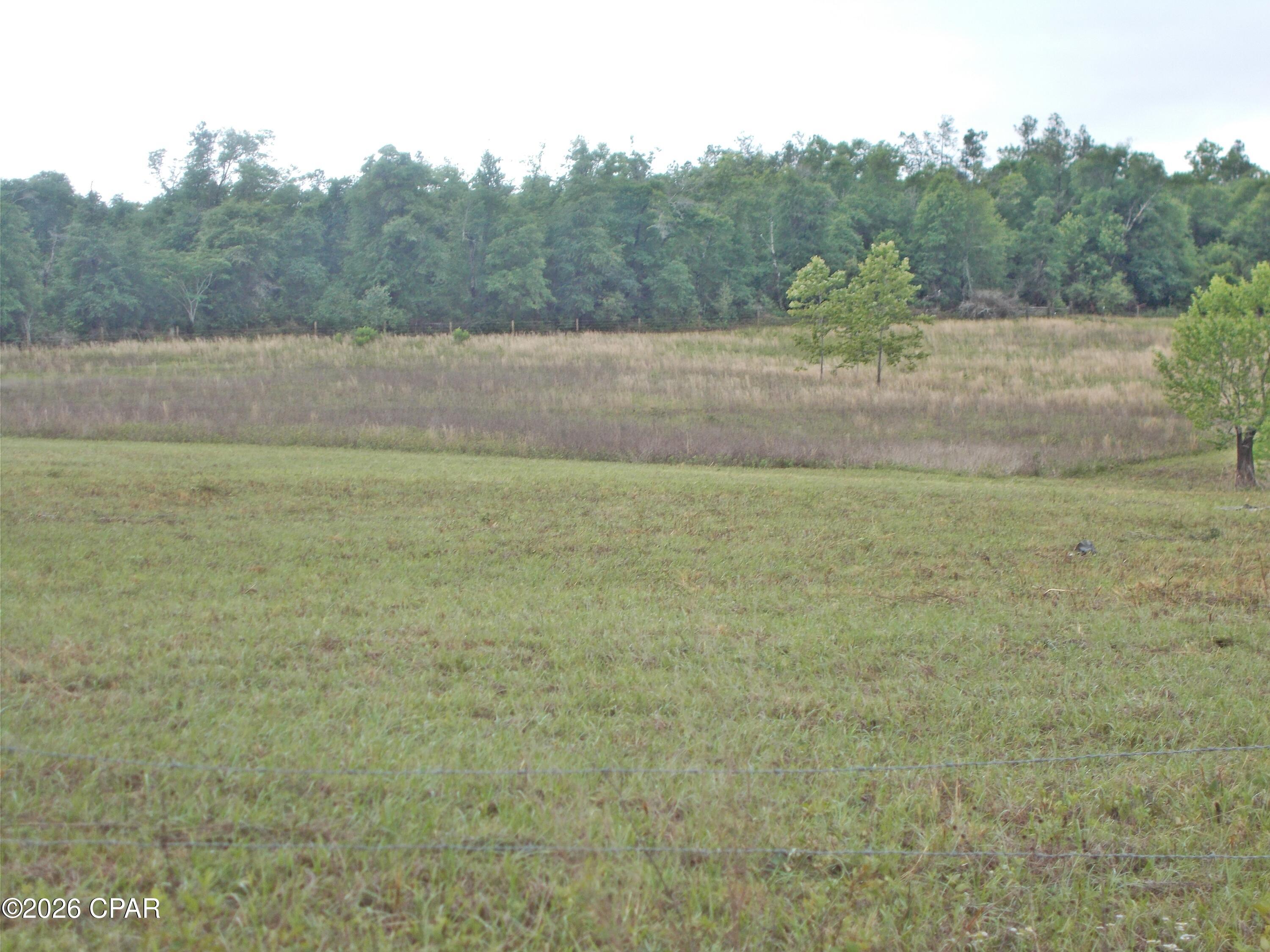 4th image of 00 Express Rd, Grand Ridge, FL 32442 | MLS# 789288