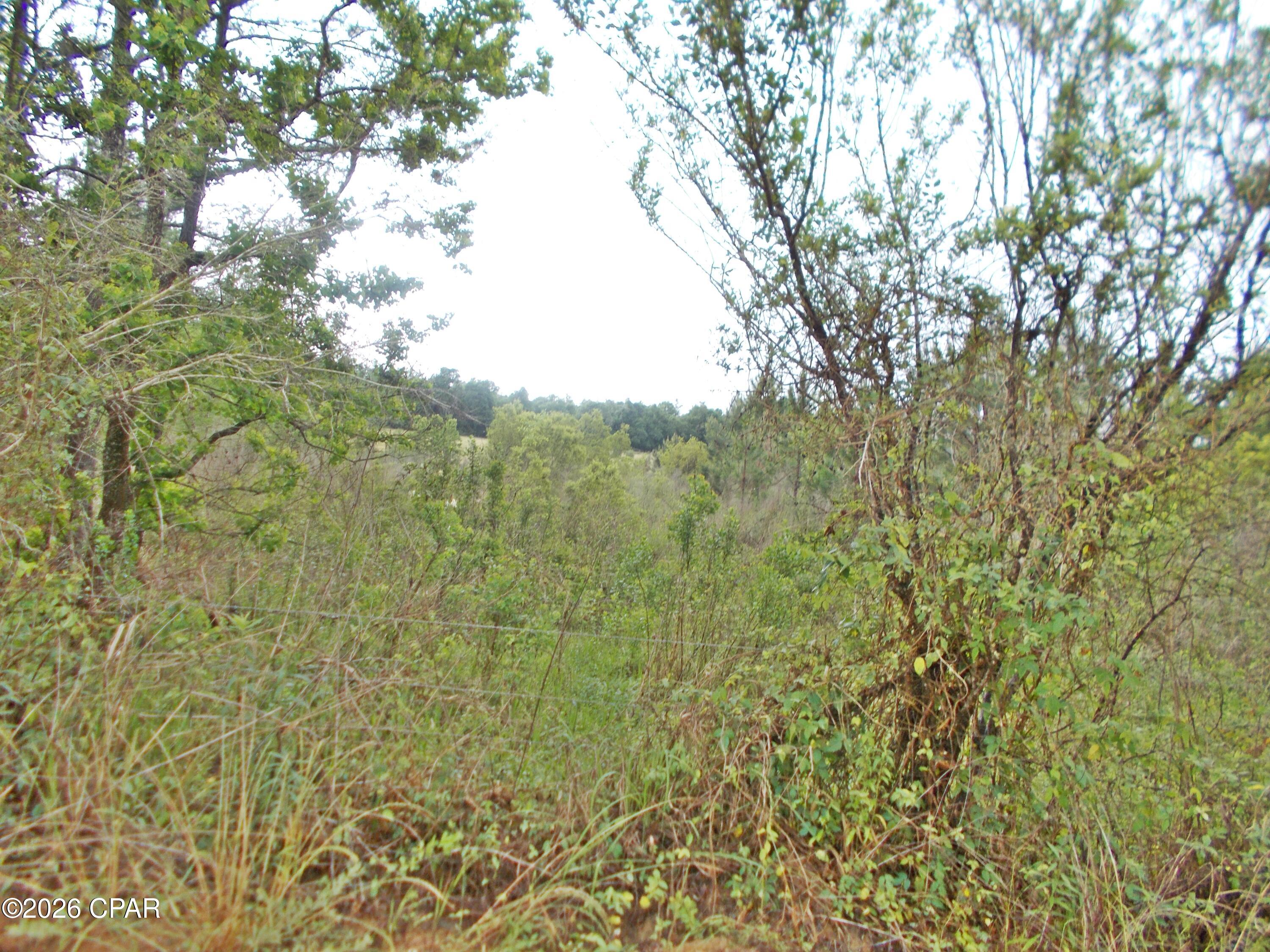 8th image of 00 Express Rd, Grand Ridge, FL 32442 | MLS# 789288