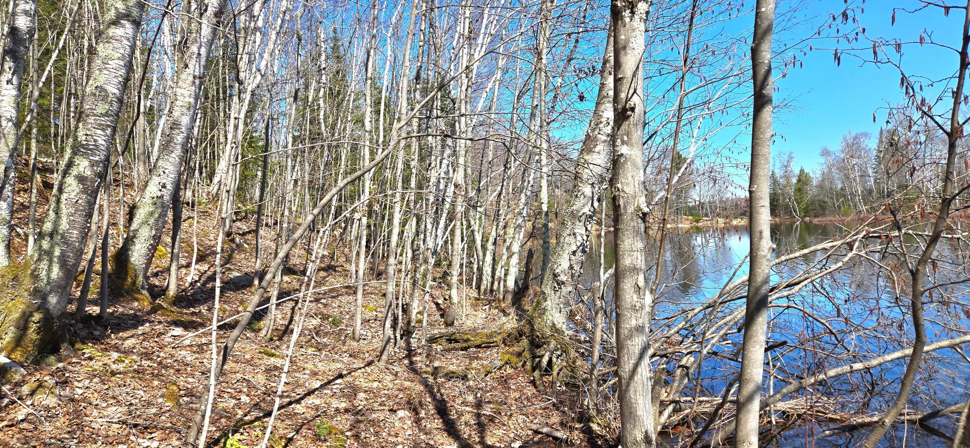 Oxbow Lake Property ON Maple Rd Photo 10