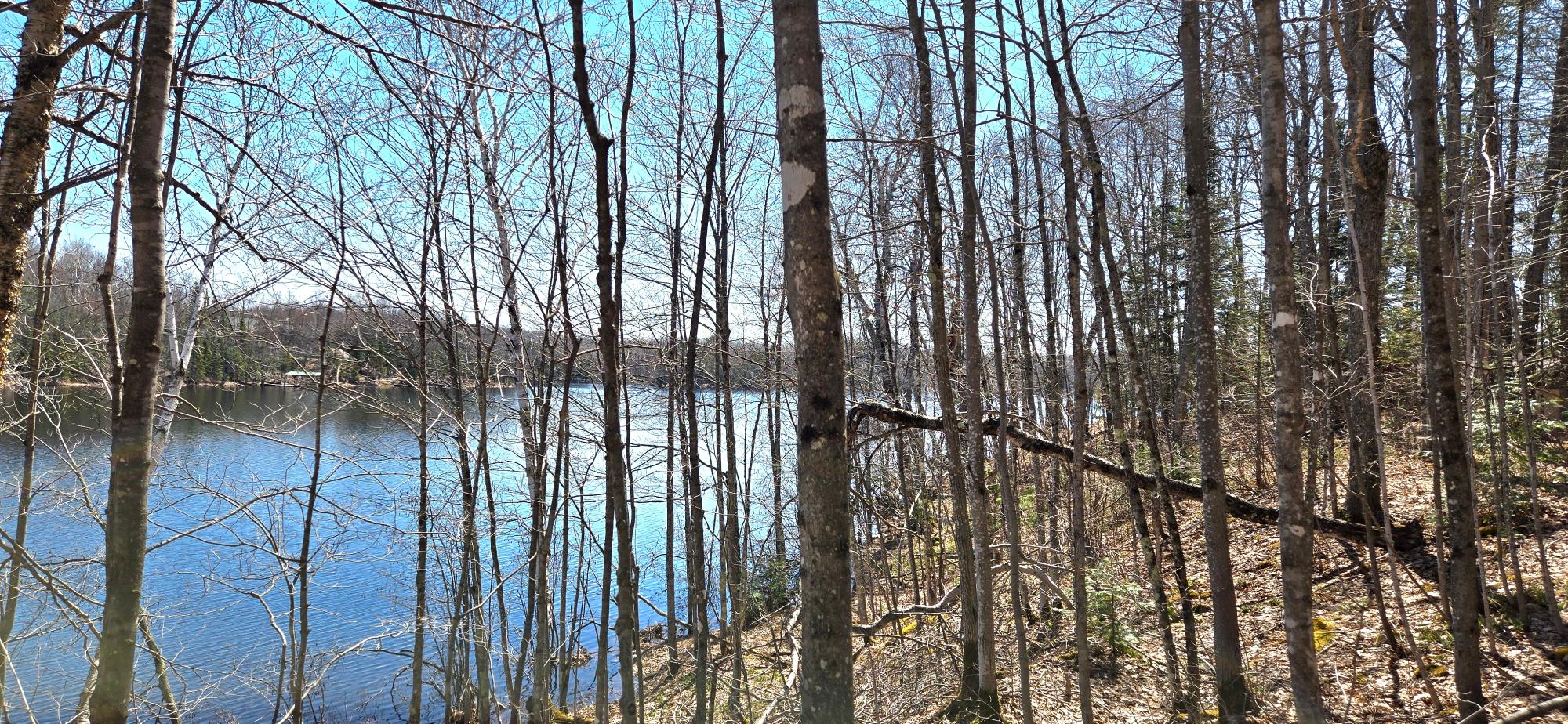 Oxbow Lake Property ON Maple Rd Photo 12