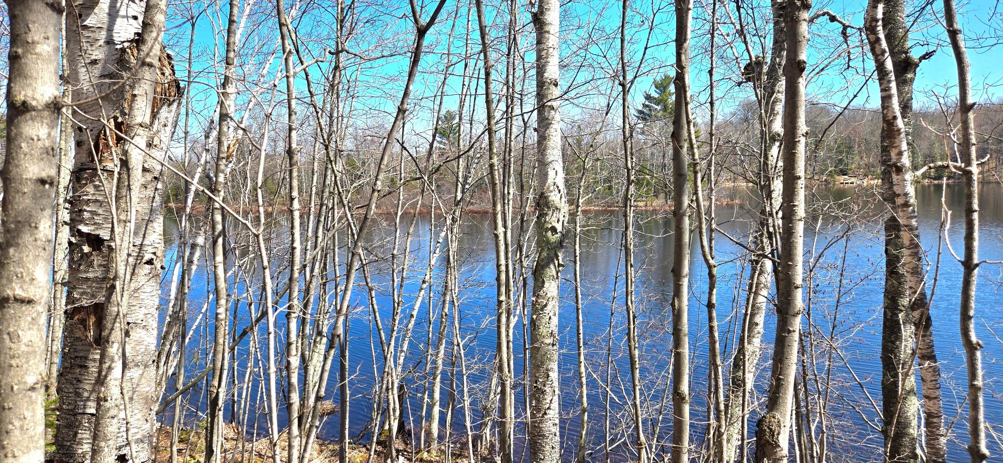 Oxbow Lake Property ON Maple Rd Photo 15