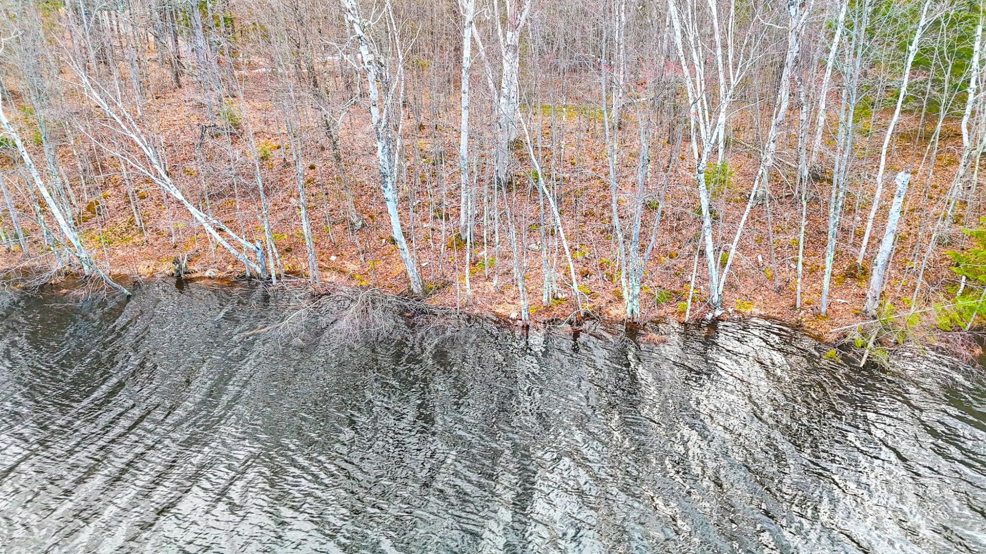 Oxbow Lake Property ON Maple Rd Photo 16