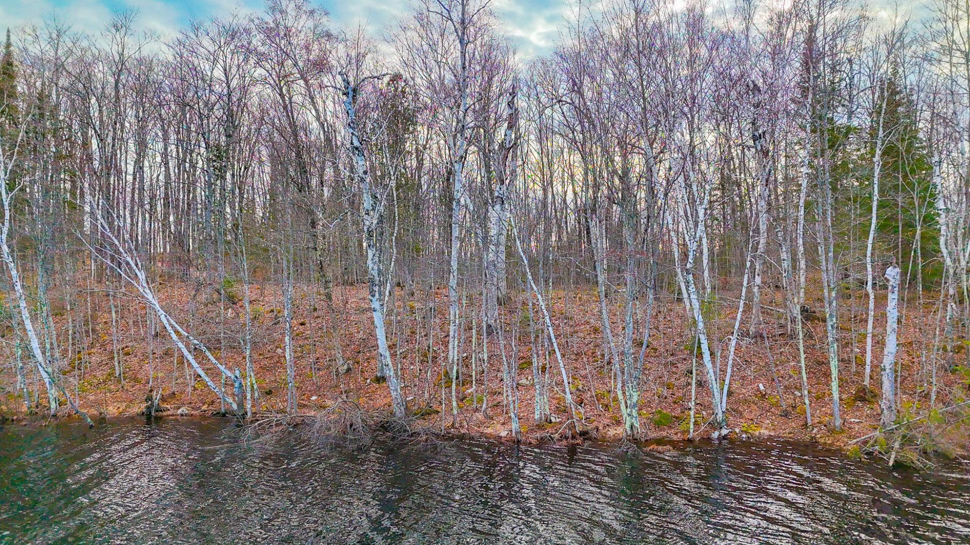 Oxbow Lake Property ON Maple Rd Photo 17