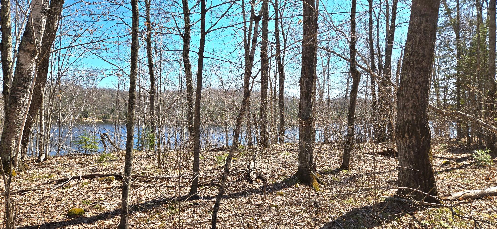 Oxbow Lake Property ON Maple Rd Photo 3