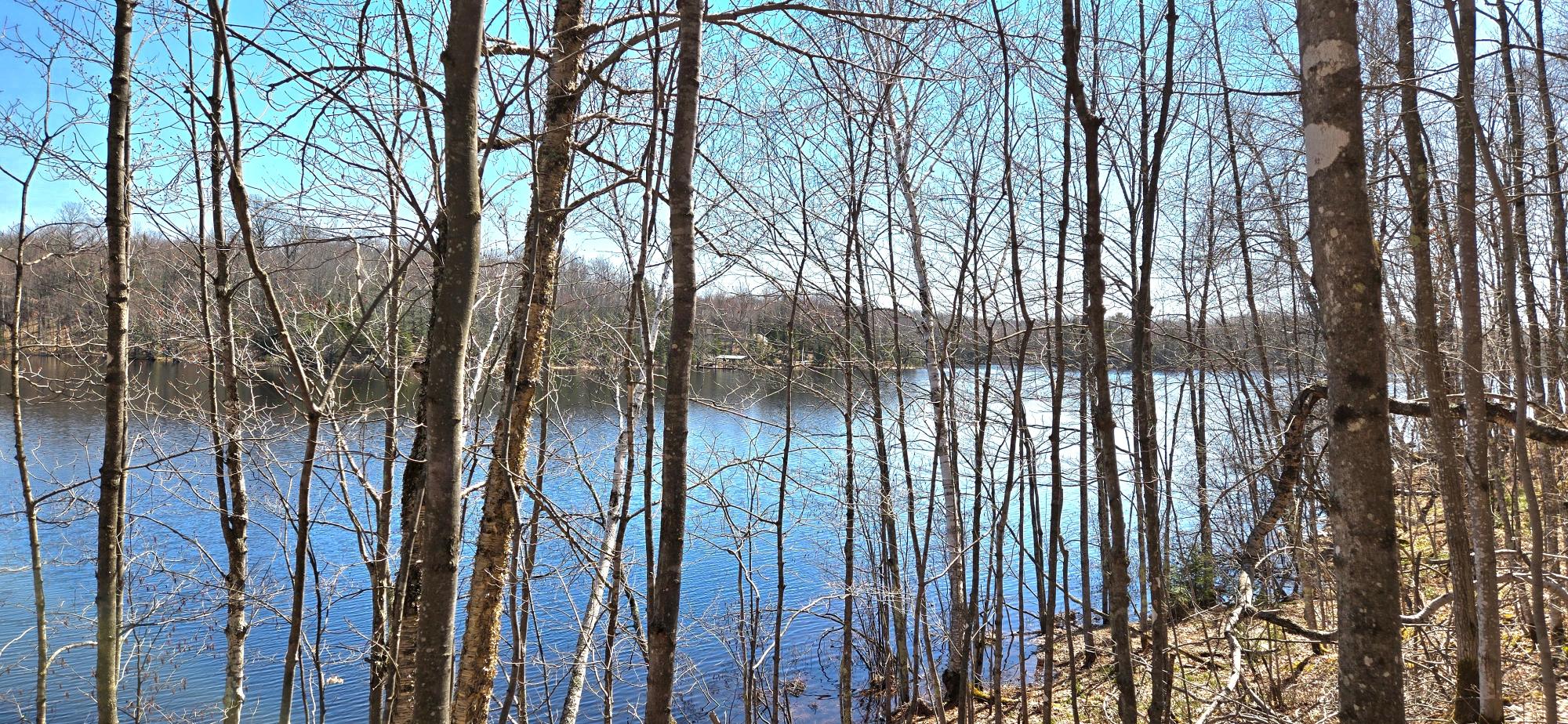 Oxbow Lake Property ON Maple Rd Photo 6