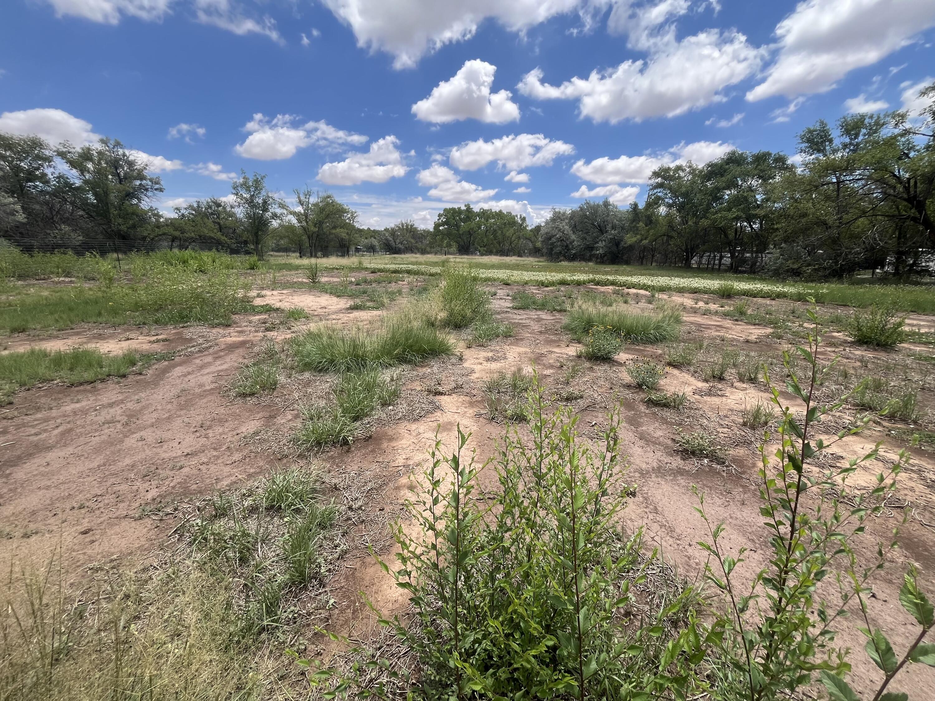 Homes for sale in Peralta, NM | 20 Rainbow Rd, Peralta, NM 87042 | MLS# 1102903
