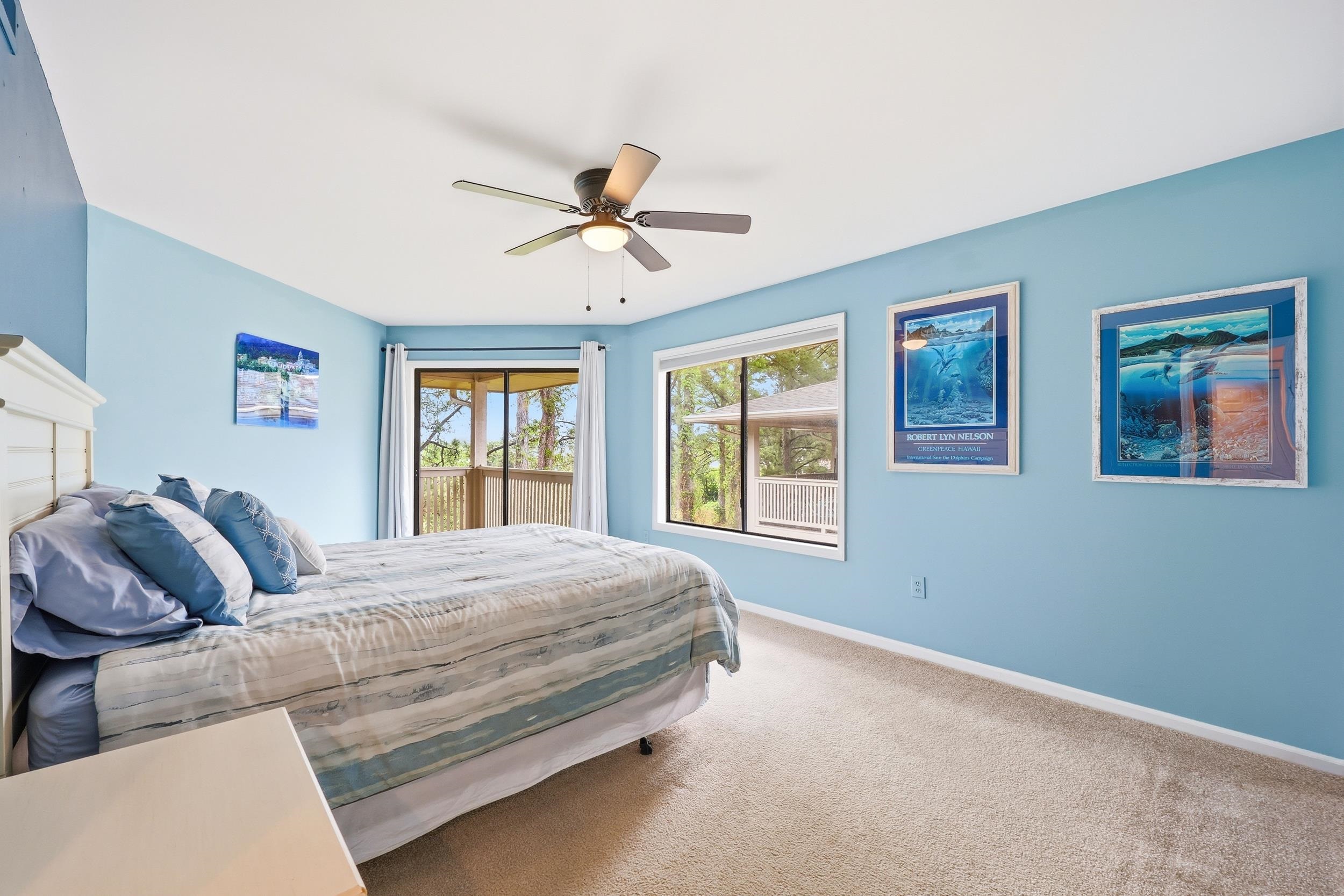 2611593 | Photo 21