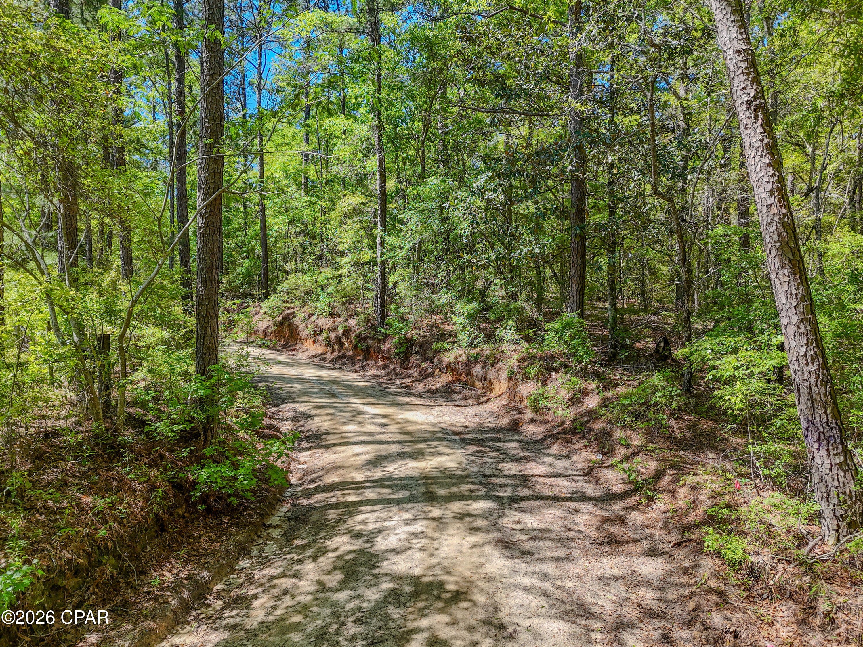 Image 4 For 0 Truett Circle