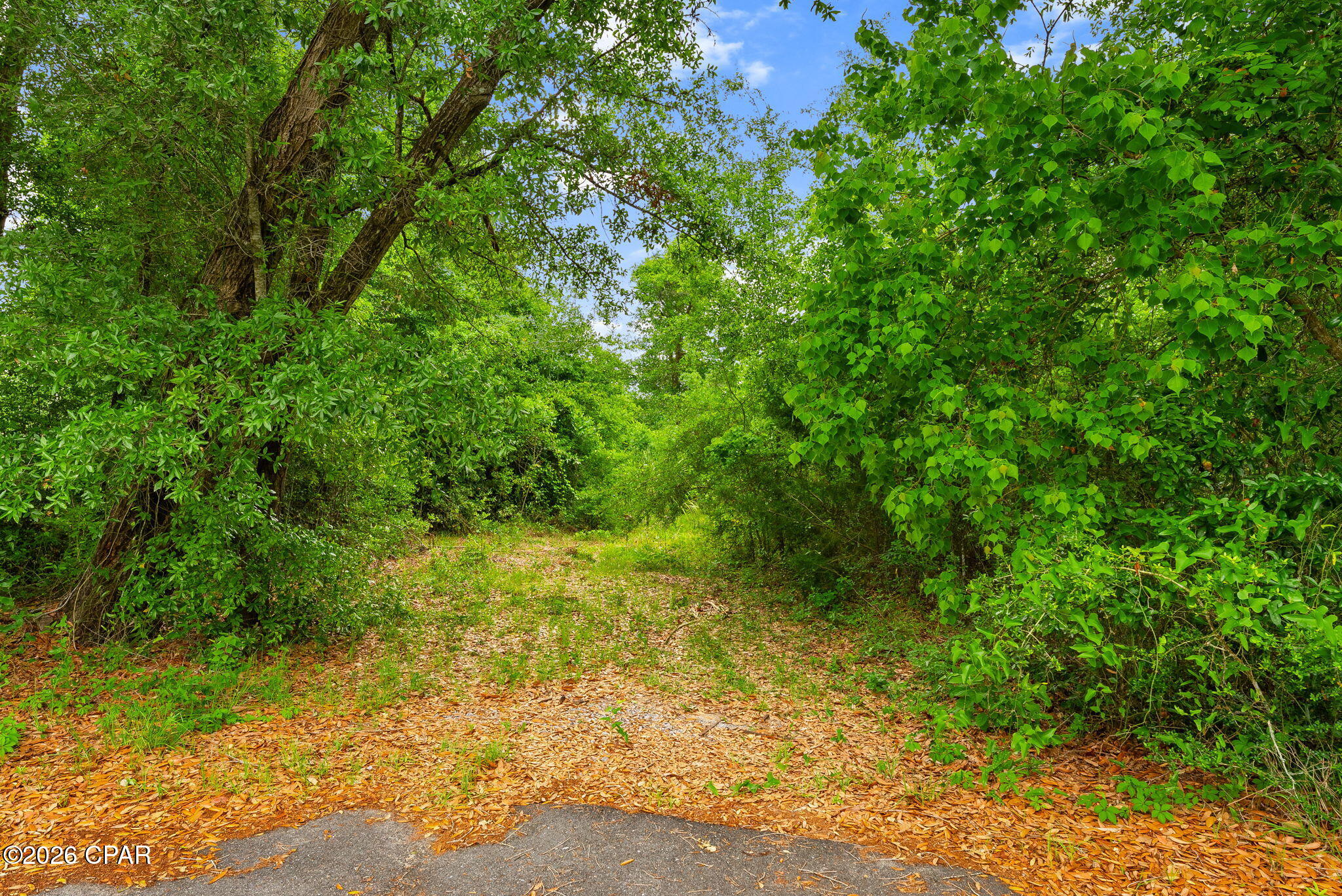 Image 12 For 00 Stephens Drive